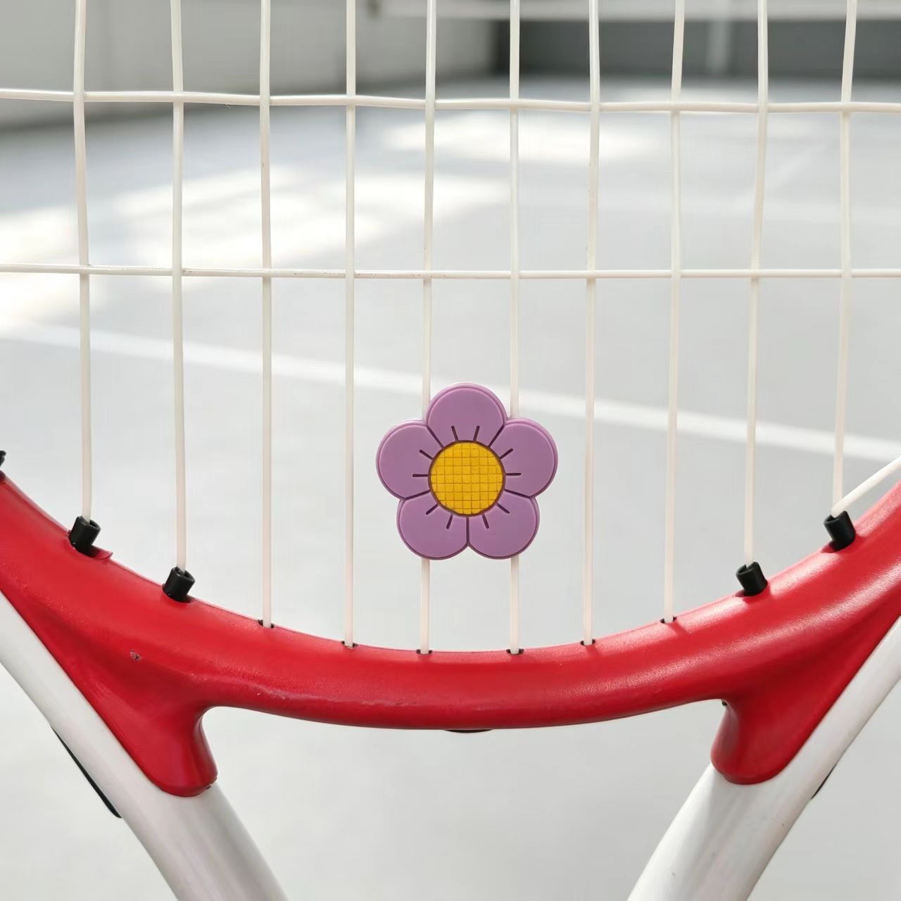 Amortisseur de vibrations pour - Racket Vibration Dampener avis et prix