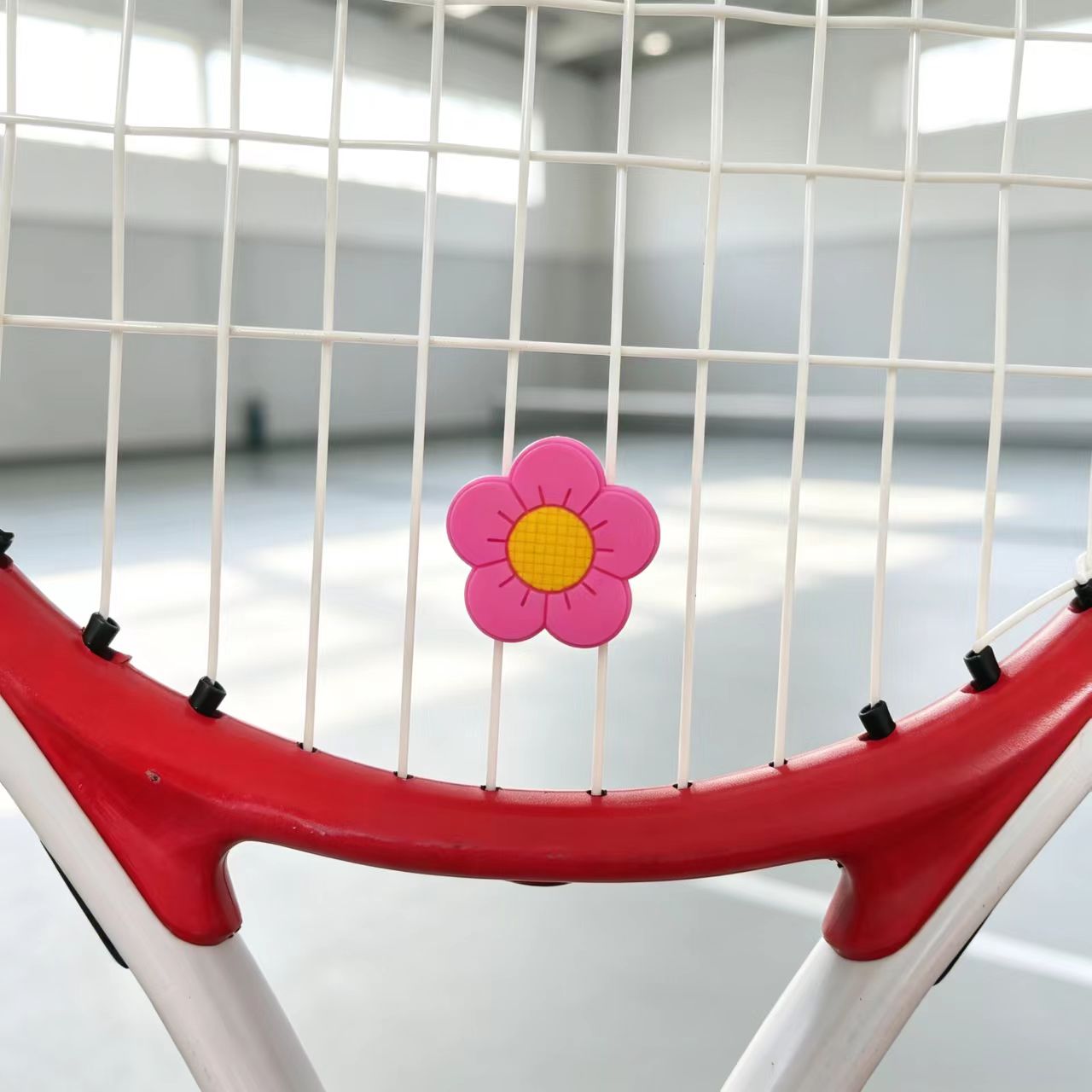 Amortisseur de vibrations pour - Racket Vibration Dampener avis et prix